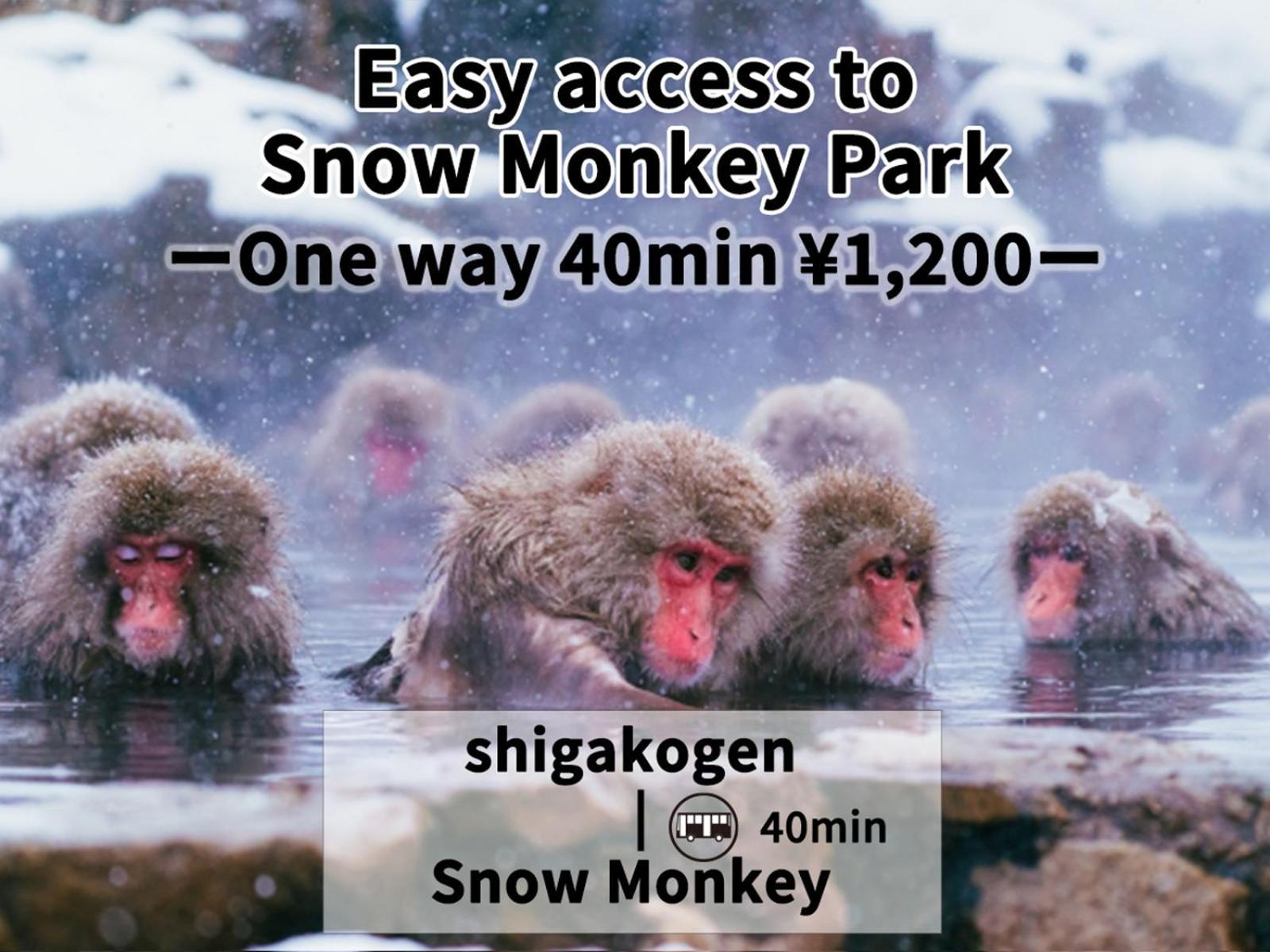 Shiga Swiss Inn Shiga Kogen Εξωτερικό φωτογραφία